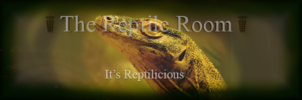 The Reptile Room