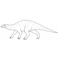 Sauropoda