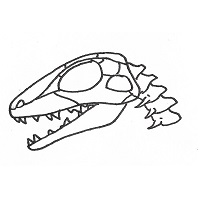 Synapsid