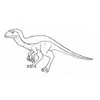 Theropod