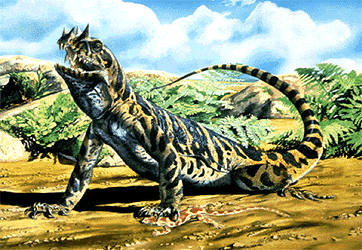 TETRACERATOPS